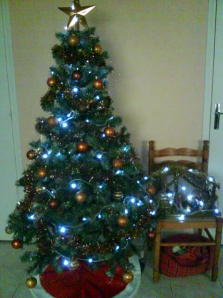 sapin